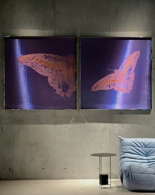 ความทนทานสูง Woven Wire Mesh Mural สําหรับผ้า Mesh 3d